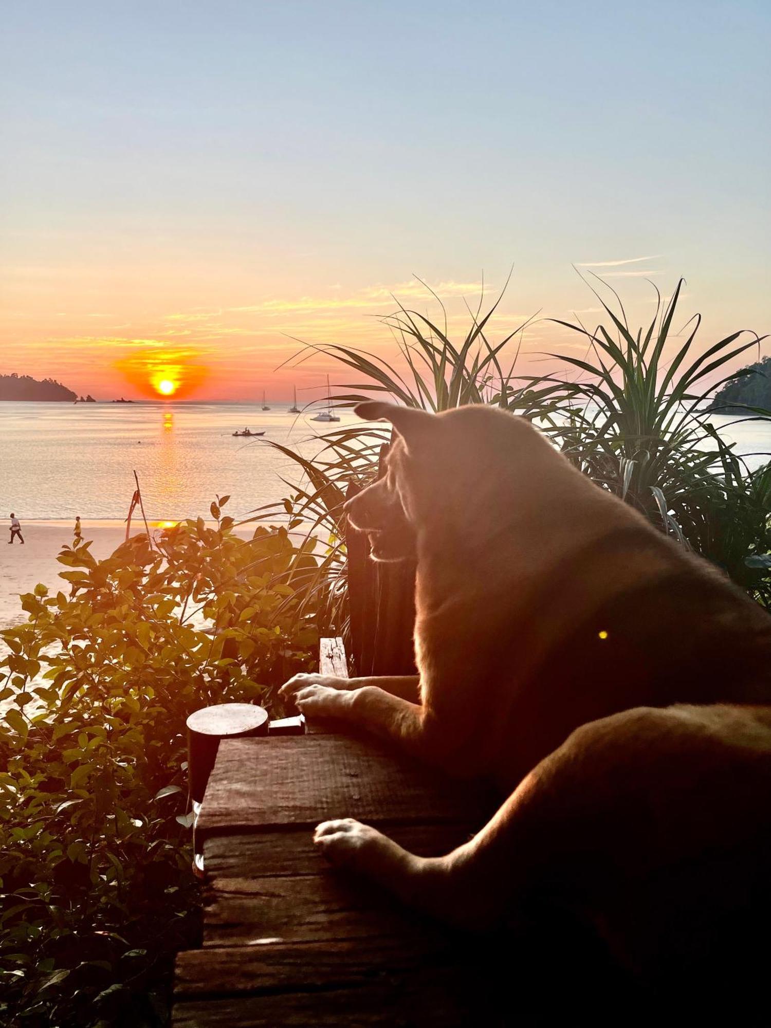Starlight Beach Resort Koh Phayam Dış mekan fotoğraf
